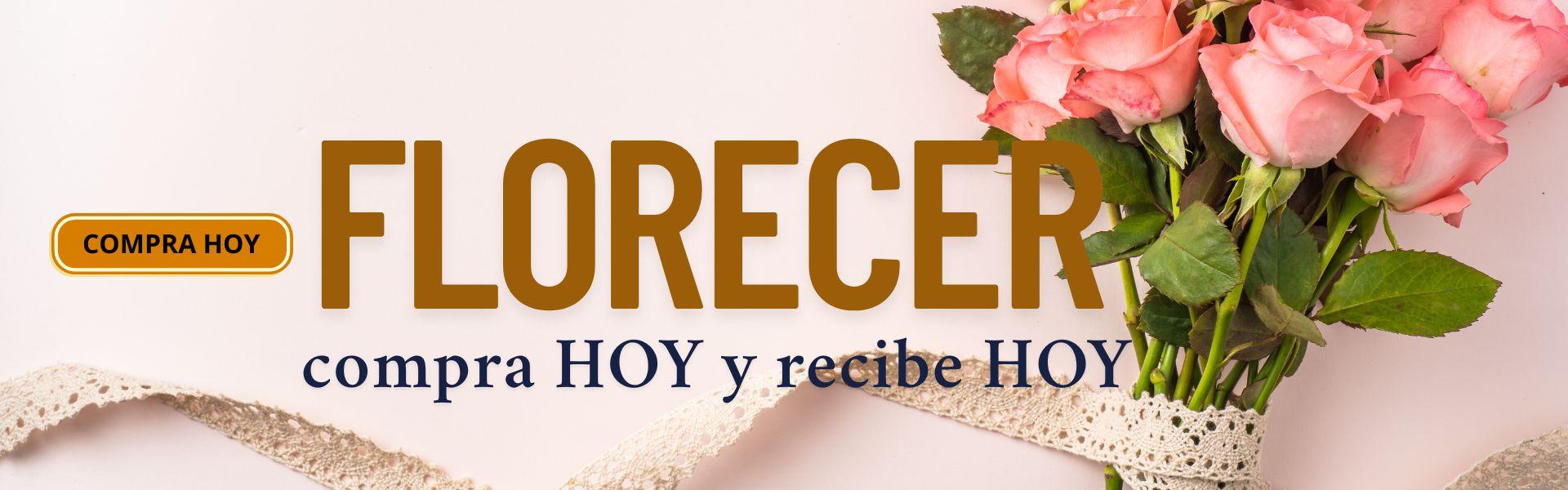 flores|floristerias en medellin|entrega a domicilio
